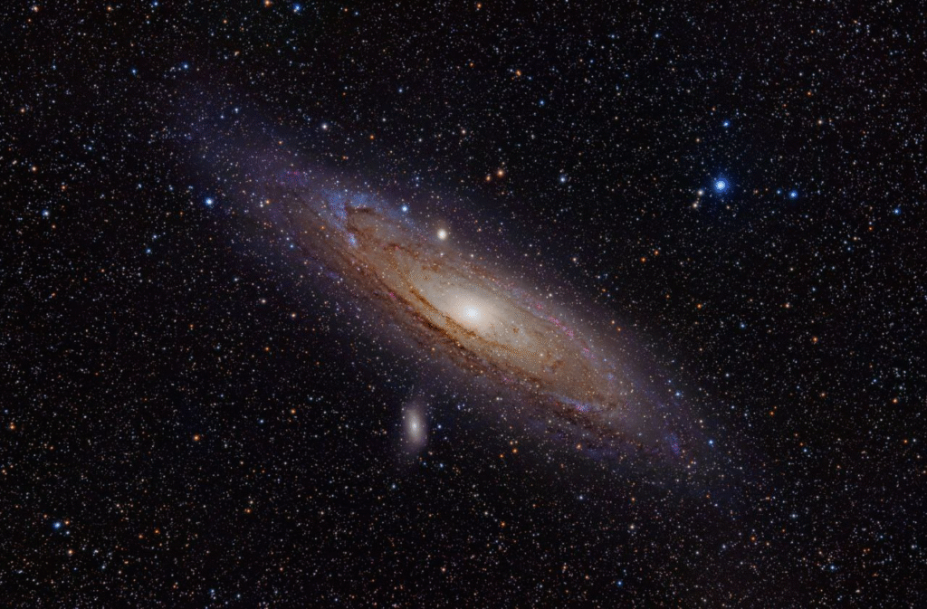Andromeda 